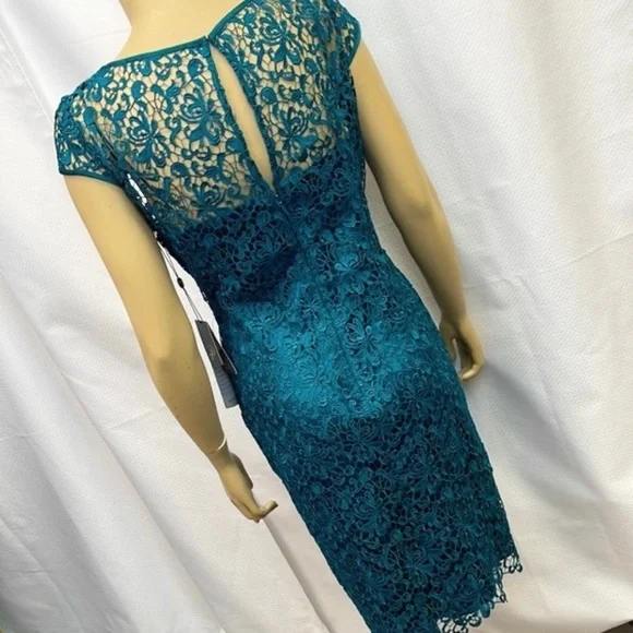Adrianna Papell Lace Cap Sleeve Dress - Picture 3 of 13